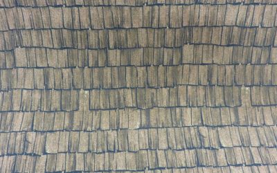 Weathered Roof Brown – Michael Miller – DCX9300-BROW (3147)